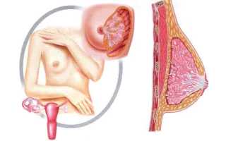 Болит грудь при овуляции: причины, характер и способ лечения