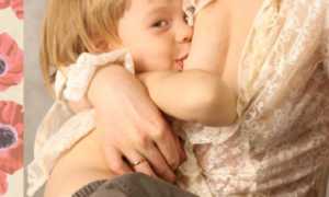 Организация кормления «бегунка» и некоторые психологические особенности долгокормления (часть 2)