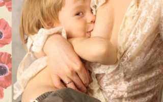 Организация кормления «бегунка» и некоторые психологические особенности долгокормления (часть 2)