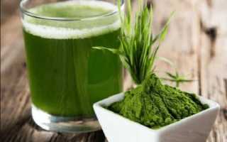 Спирулина от А до Я — самая полная статья — инструкция с ответами на все вопросы