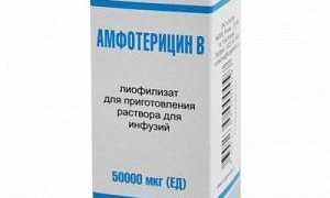 Все, что необходимо знать о медикаменте «Амфотерицин В»