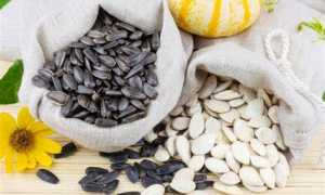 Можно ли беременным семечки