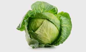 Народные средства от ангины у детей