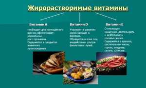 Жирорастворимые витамины — список препаратов и их свойства