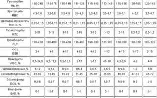 Что такое АЛТ, и почему он повышен при беременности?