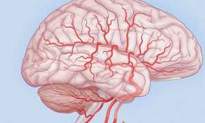 Энцефалопатия головного мозга — причины заболевания и классификация, симптомы, диагностика и лечение