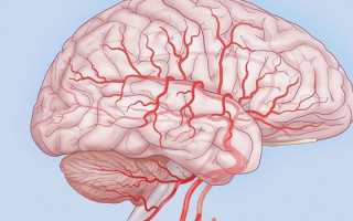 Энцефалопатия головного мозга — причины заболевания и классификация, симптомы, диагностика и лечение