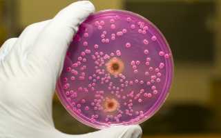 Пимафуцин при беременности. Свечи и таблетки. Инструкция по применению.