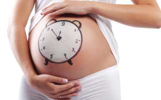 Методы определения срока беременности