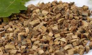 Лечение молочницы с помощью коры дуба