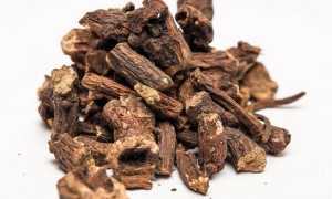 Кровохлебка лекарственная