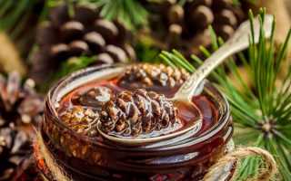 Варенье из сосновых шишек–полезные свойства и 3 рецепта приготовления с фото