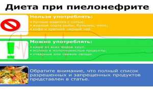 Диета при пиелонефрите у взрослых — правила питания и полноценное меню на неделю