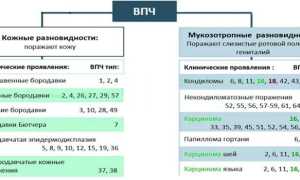 Вирус папилломы человека у женщин — симптомы и лечение