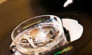 Заморозка яйцеклеток при ЭКО: стоимость, гарантия зачатия