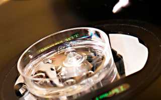 Заморозка яйцеклеток при ЭКО: стоимость, гарантия зачатия