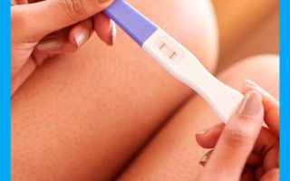 Базальная температура при беременности на ранних сроках