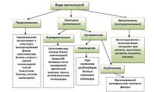 Протеинурия: симптомы и лечение заболевания