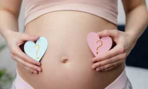 Пол ребенка на УЗИ: на каком сроке определяется?