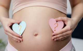 Пол ребенка на УЗИ: на каком сроке определяется?