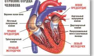 Аритмия сердца: виды и опасность для жизни