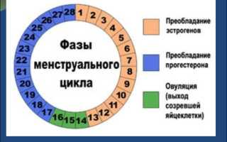 Пременопауза и месячные: какие происходят изменения