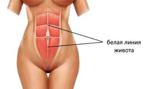 Полоска на животе при беременности
