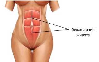 Полоска на животе при беременности