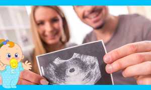На каком сроке УЗИ покажет беременность
