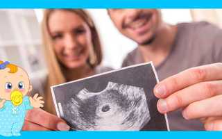 На каком сроке УЗИ покажет беременность