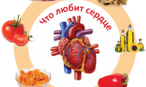 Дыхательная аритмия у детей и взрослых: механизм возникновения и прогнозы.