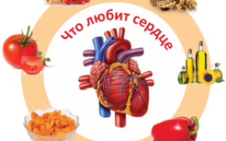 Дыхательная аритмия у детей и взрослых: механизм возникновения и прогнозы.