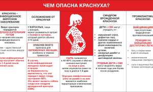 Вакцинация перед беременностью