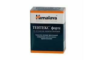 Тентекс Форте — инструкция по применению, состав, показания, форма выпуска, побочные эффекты, аналоги и цена