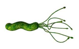 Де-нол: инструкция по применению