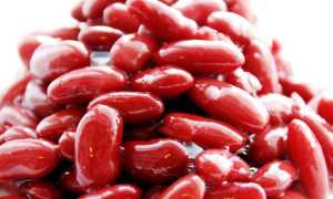 Диета 12 — показания, особенности рациона, ограничения, примерное меню на неделю с рецептами блюд