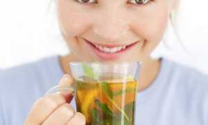 Красная щетка – лечебные свойства, противопоказания и отзывы