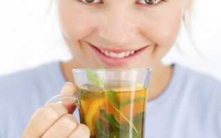 Красная щетка – лечебные свойства, противопоказания и отзывы