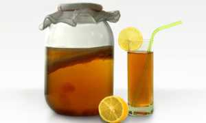 Что такое чайный гриб и как его использовать от грибка ногтей на ногах?