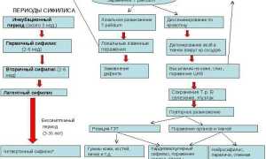 Симптомы и лечение сифилиса
