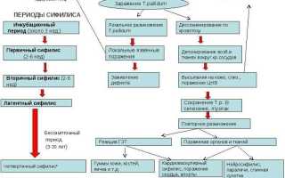 Симптомы и лечение сифилиса