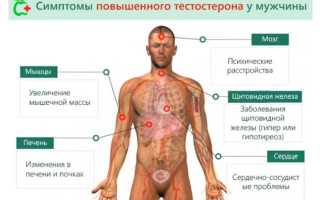 Анализ на тестостерон у мужчин — показания к назначению, правила подготовки и сдачи, расшифровка результатов