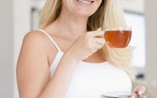 Чайный гриб при беременности – вред или польза?