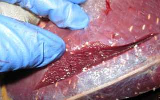 Черви в мясе свинины