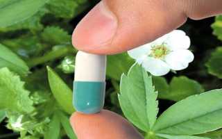 Эндонорм–самая полная инструкция по применению