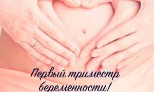 УЗИ скрининг I триместра — показания, подготовка и проведение процедуры, нормы и отклонения