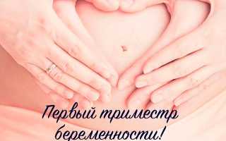 УЗИ скрининг I триместра — показания, подготовка и проведение процедуры, нормы и отклонения