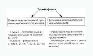Тромбофилия при беременности — анализы, лечение и последствия