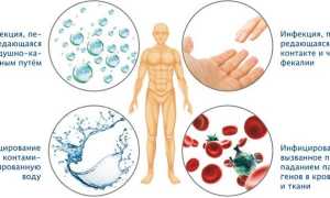 Золотистый стафилококк в горле и носу — симптомы и лечение