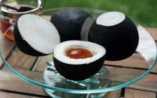Черная редька с медом от кашля–4 рецепта и инструкция по применению
